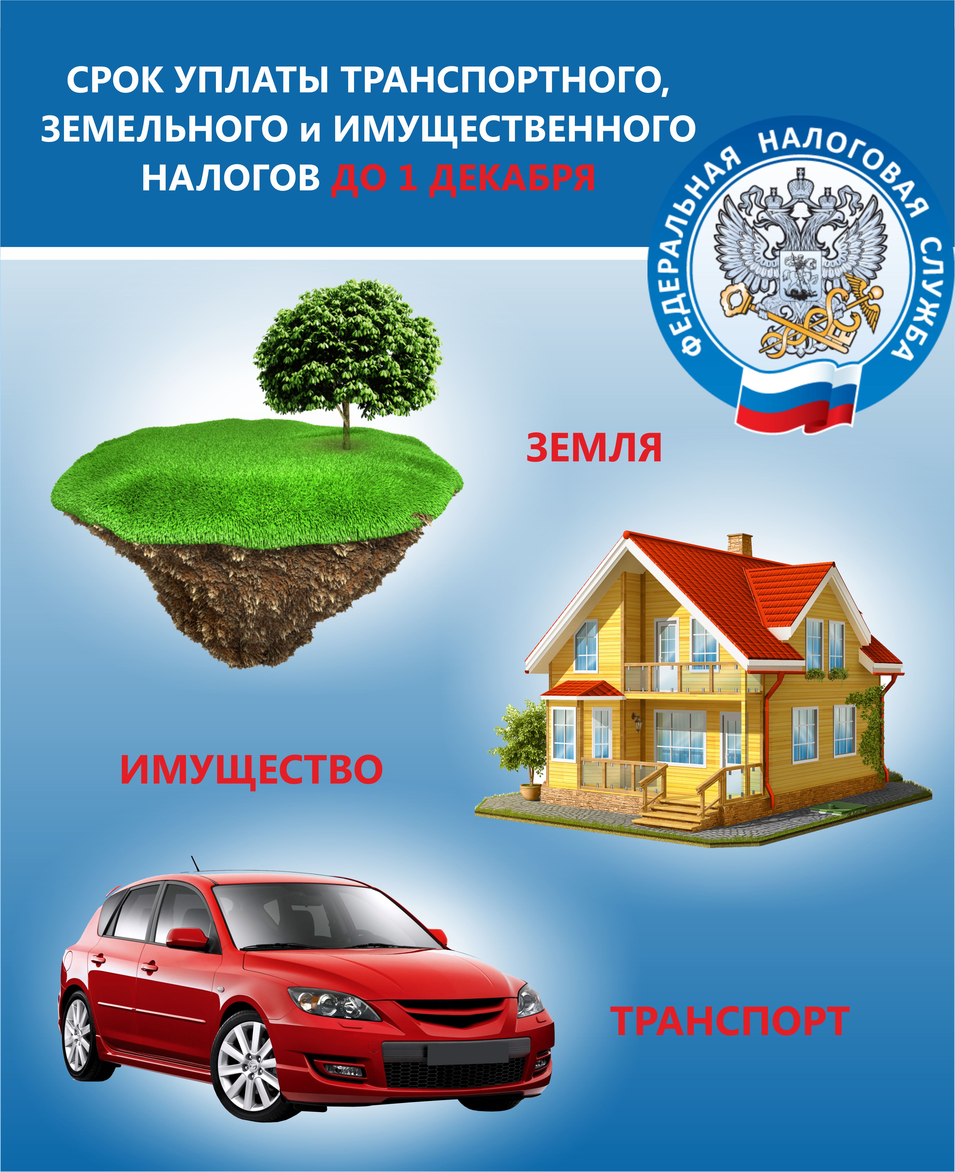 Срок уплаты налогов 2024.