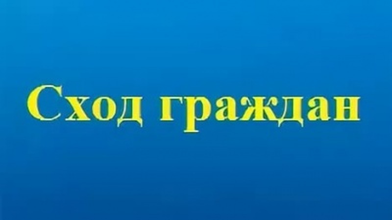 Сход граждан.