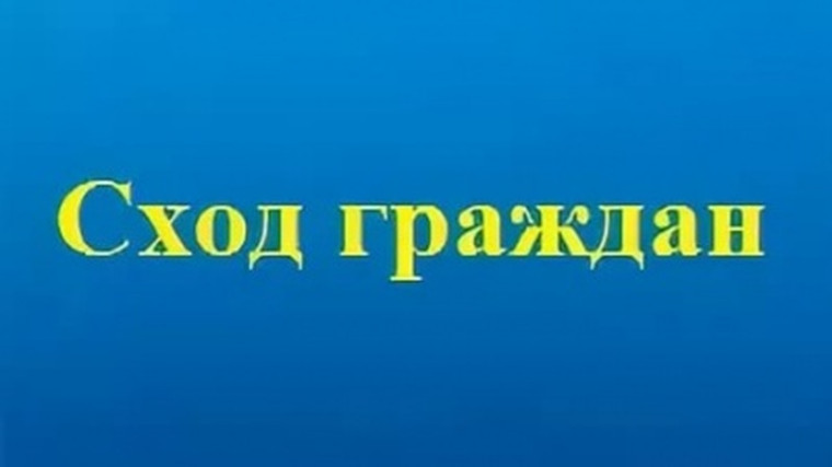 Сход граждан. Сход граждан.