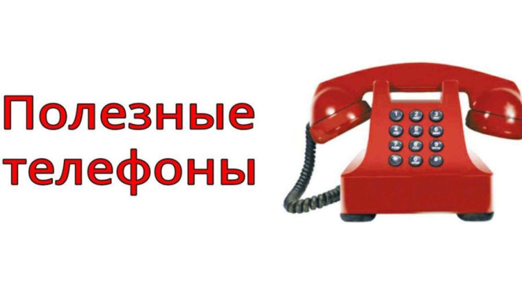 Телефоны должностных лиц. Телефоны должностных лиц.